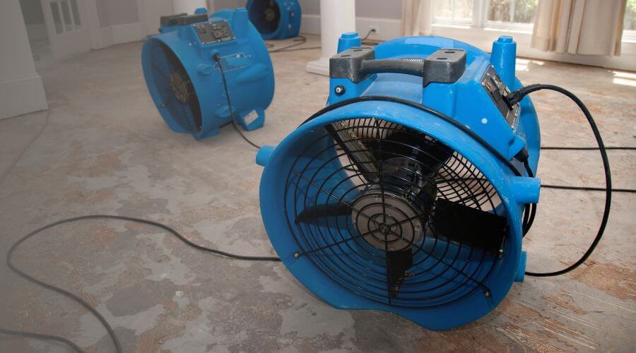 Why choose Crown Point Mold Specialist for mold removal in Crown Point, IN